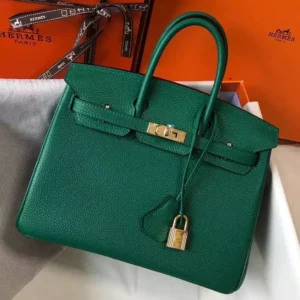 Hermes Birkin 25cm Bag In Vert Vertigo Clemence Leather GHW - HW016