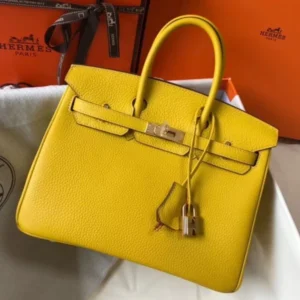 Hermes Birkin 25cm Bag In Yellow Clemence Leather GHW - HW004